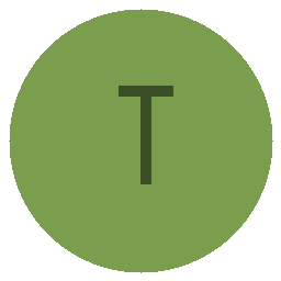 Team Team NS logo